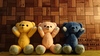 Thumbnail_dsc_1603