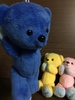 Thumbnail_c0fb8f8a-2a3e-4b12-b408-a8e52864df58