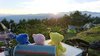 Thumbnail_dsc_0801