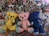 Thumbnail_fbde5590-c35a-40b3-9253-4bd4cb8cbfa2