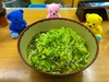 Thumbnail_400b354e-9105-45f6-8c40-9be7c9584c84