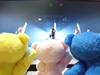 Thumbnail_dsc_0039