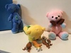 Thumbnail_3df50878-c4e1-42cc-ba25-9d7f892a4f2d