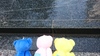 Thumbnail_dsc_2059