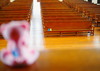 Thumbnail_p9090443__2_