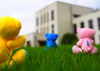 Thumbnail_p9090450