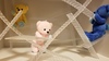 Thumbnail_20180930_231557