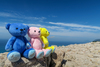 Thumbnail_img_7418