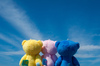 Thumbnail_dsc_8637