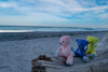 Thumbnail_img_7526