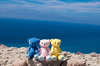 Thumbnail_dsc_8611
