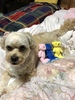 Thumbnail_2505544c-36c9-410c-8696-a2936772ac0e