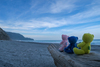 Thumbnail_img_7522
