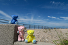 Thumbnail_img_7439