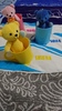 Thumbnail_dsc_0084